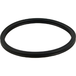 QUAD RNG Q4338 QUAD RNG Q4338, Parts, Pentair, Pool Supplies
