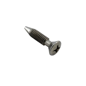 Retaining Screw, for Sta-Rite Light all Models 05082, 05086 Retaining Screw, for Sta-Rite Light all Models 05082, 05086, Parts, Pentair, Pool Supplies