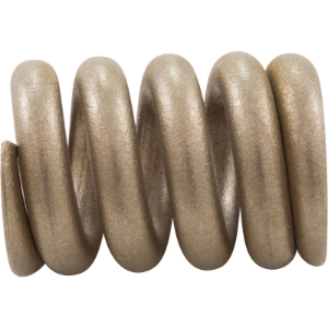 SPRING TR OVAL CLOSURE SPRING TR OVAL CLOSURE, Parts, Pentair, Pool Supplies