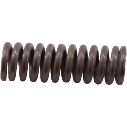 SPRNG 1/2" RPLCMNT  SPRNG 1/2" RPLCMNT , Parts, Pentair, Pool Supplies