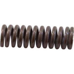 SPRNG 1/2" RPLCMNT  SPRNG 1/2" RPLCMNT , Parts, Pentair, Pool Supplies