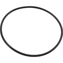 Seal Plate O-Ring, Pentair IntelliFloXF/IntelliProXF Seal Plate O-Ring, Pentair IntelliFloXF/IntelliProXF, Parts, Pentair, Pool Supplies