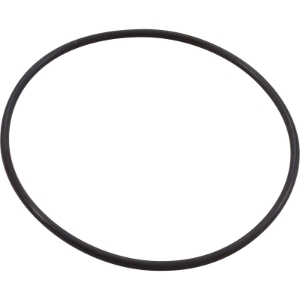 Seal Plate O-Ring, Pentair IntelliFloXF/IntelliProXF Seal Plate O-Ring, Pentair IntelliFloXF/IntelliProXF, Parts, Pentair, Pool Supplies