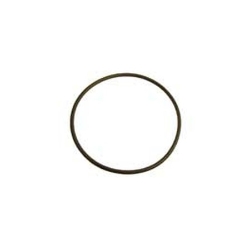 Seal Plate O-ring, DJ series spa pumps 0, Parts, Pentair, Pool Supplies