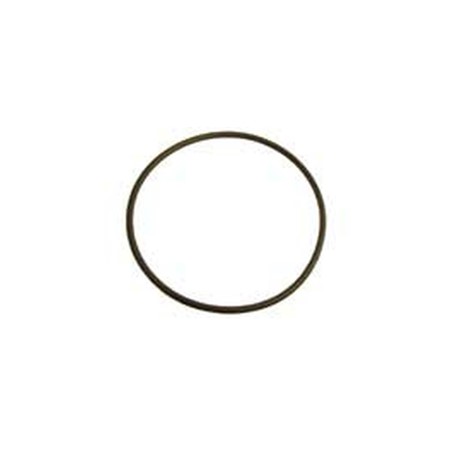 Seal Plate O-ring, DJ series spa pumps 0, Parts, Pentair, Pool Supplies