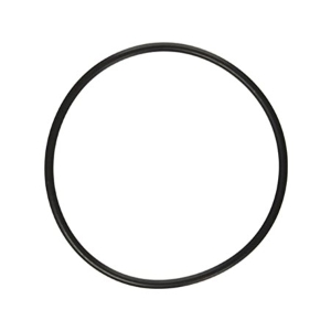 Strainer Cover O-ring, Power Flo 