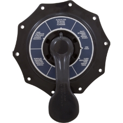 TOP HYBIRD VLV ASY RPLC TOP HYBIRD VLV ASY RPLC, Parts, Pentair, Pool Supplies