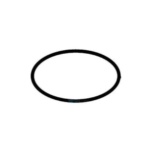 O-Ring For Waterco HRV Series Filter Lid (Replaces 00B7013) O-Ring For , Waterco Hrv Seri Es Filters Lid (Replaces 00b7013), Waterco, Pool Supplies