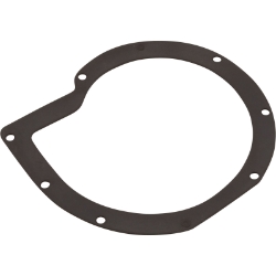 Voute Gasket, LT Series Voute Gasket, LT Series, C20-31B, Parts, Pentair, Pool Supplies