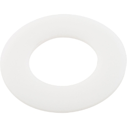 WSHR PLSTC WSHR PLSTC, Parts, Pentair, Pool Supplies