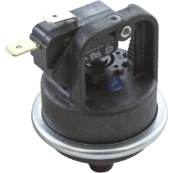 Water Pressure Switch for ETi 400 High Efficiency Heater Water Pressure Switch for ETi 400 High Efficiency Heater, Parts, Pentair, Pool Supplies