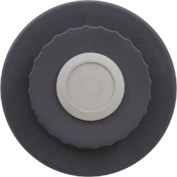 Waterking Lid Assembly Waterking Lid Assembly, Waterco, Pool Supplies