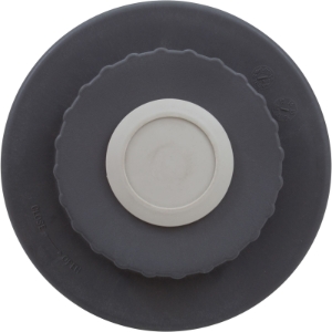 Waterking Lid Assembly Waterking Lid Assembly, Waterco, Pool Supplies