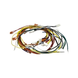 Wiring Harness, Max-E-Therm, all models 0, Parts, Pentair, Pool Supplies