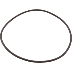 Zodiac Nature2 Professional G / M / A Vessel O-RIng Zodiac Nature2 Professional G / M / A Vessel O-RIng, W13061, Spa Parts, Spa Supplies, Pool Supplies