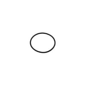 O-RING, #340 VITON 75 SHORE - CHLORINATOR LID O-RING, #340 VITON 75 SHORE - CHLORINATOR LID
