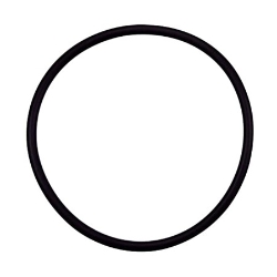 diffuser o-ring, Challenger CH models 0, Parts, Pentair, Pool Supplies