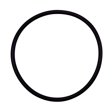 diffuser o-ring, Challenger CH models 0, Parts, Pentair, Pool Supplies