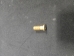 2" Brass Anchor Screw only - 99-20-9100116