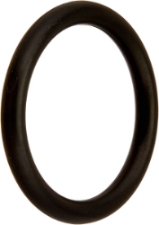 ORNG 2-325 EP DM ORNG 2-325 EP DM, Parts, Pentair, Pool Supplies