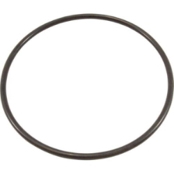 Hydrostorm Plus Lid O-Ring Hydrostorm Plus Lid O-Ring, Waterco, Pool Supplies