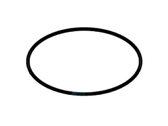 Multicyclone O-Ring Bs263 Sediment Bowl Multicyclone O-Ring Bs263 Sediment Bowl, Waterco, Pool Supplies