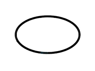 Multicyclone O-Ring Bs268 (Seperator Bowl To Mc Body) Multicyclone O-Ring Bs268 (Seperator Bowl To Mc Body), 61308, Filter Parts, Filter Repair, Waterco, Pool Supplies