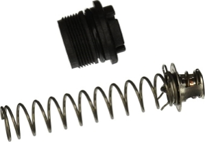 THERMAL REGULATOR PACKAGE THERMAL REGULATOR PACKAGE, Parts, Pentair, Pool Supplies