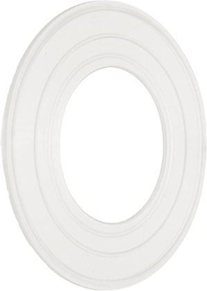GASKET AQLMNTR GASKET AQLMNTR, Parts, Pentair, Pool Supplies