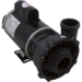 Executive 56 Frame 1 Speed Spa Pump with 2-1/2" Intake/2" Discharge 4 HP 230V - 3711621-13