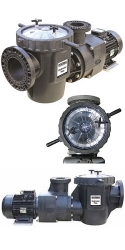 HydroStar Plus Commercial Pumps - 5 thru 15 HP pool pump, hydrostar pool pump, Hydrostar Plus Commerical Pump, commercial pool pump, 5hp pool pump, 15hp pool pump, Waterco, Pool Supplies