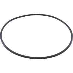O-Ring for PB4-60 Booster Pump with 60Hz Motor O-Ring for PB4-60 Booster Pump with 60Hz Motor, PVP95, Pool Parts, Pool Supplies
