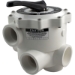Multiport Valve, Praher SM-20-3, 2" FPT, Sand - SM-20-3