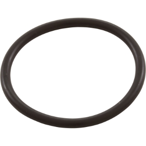 SwimClear™/ProGrid™ Vertical Grid DE Bulkhead O-Ring SwimClear™/ProGrid™ Vertical Grid DE Bulkhead O-Ring